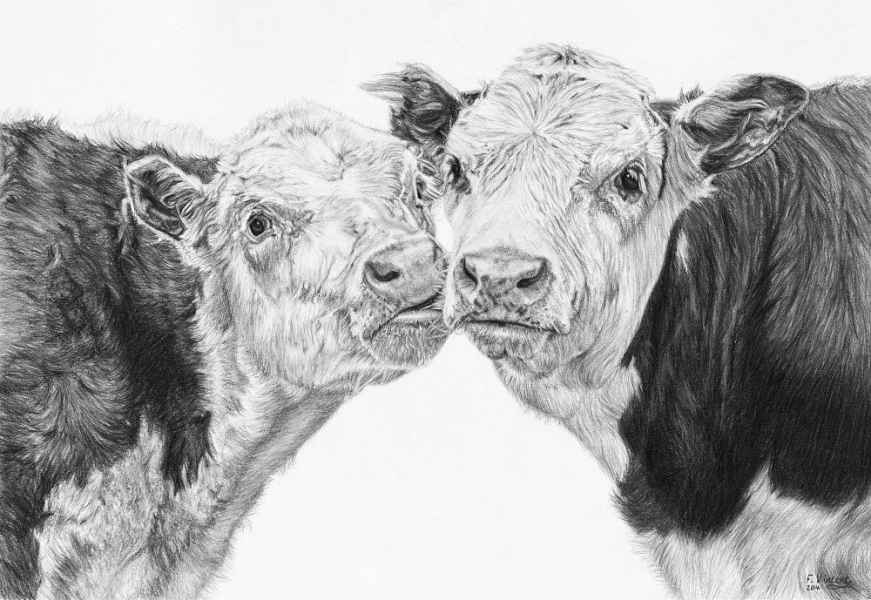 Pencil    Mounted 8" x 10"