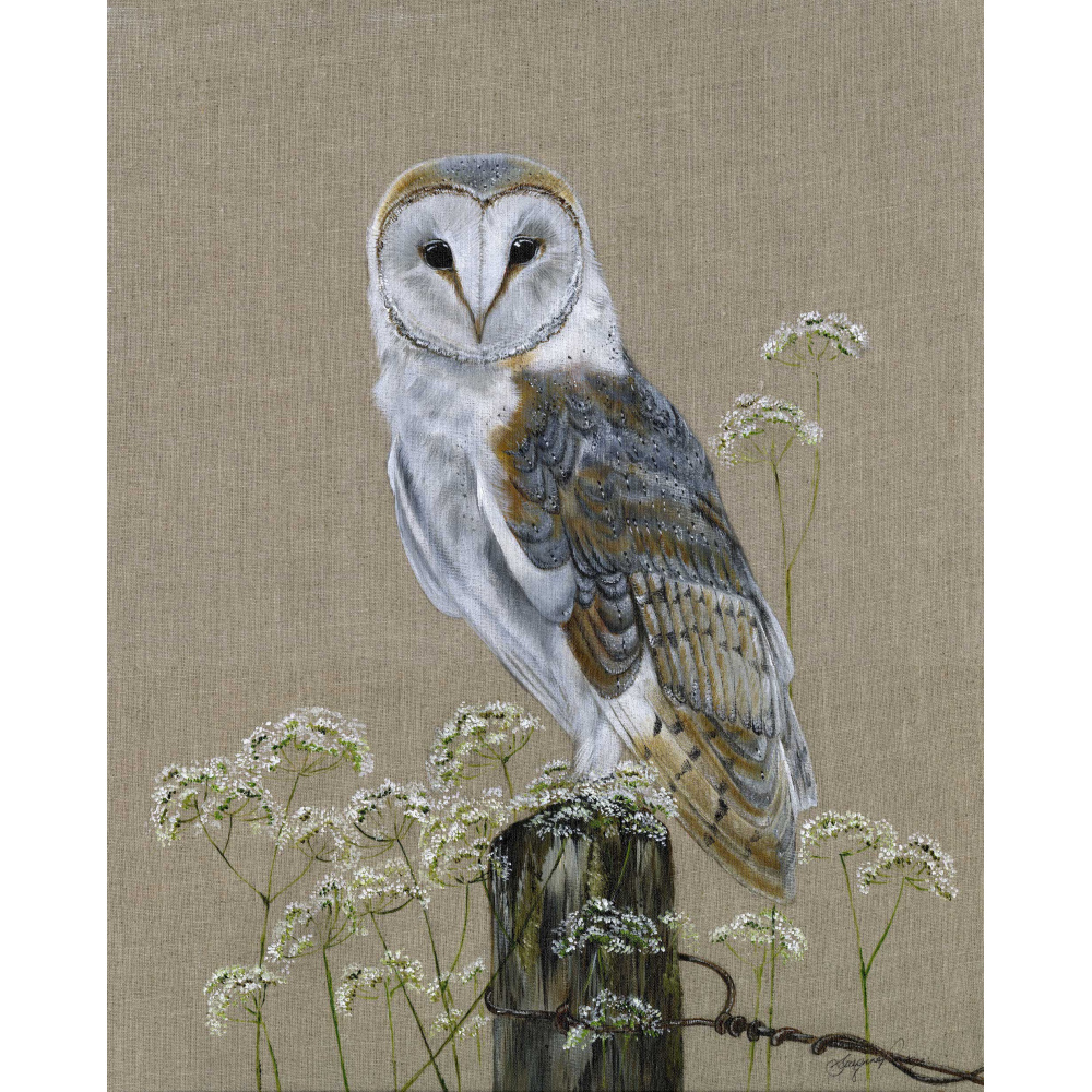 barn-owl-copper-canvas-333-website