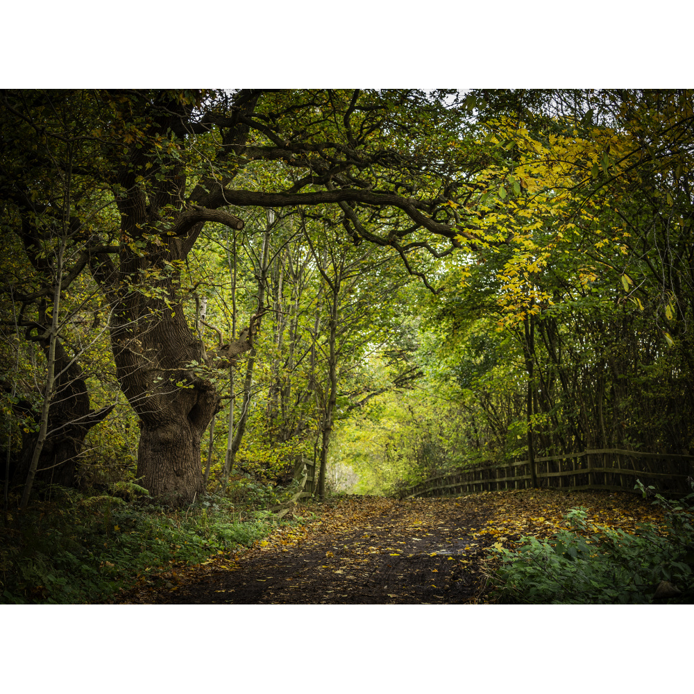 bh90-092_-_orwell_country_park_by_bill_hioskett