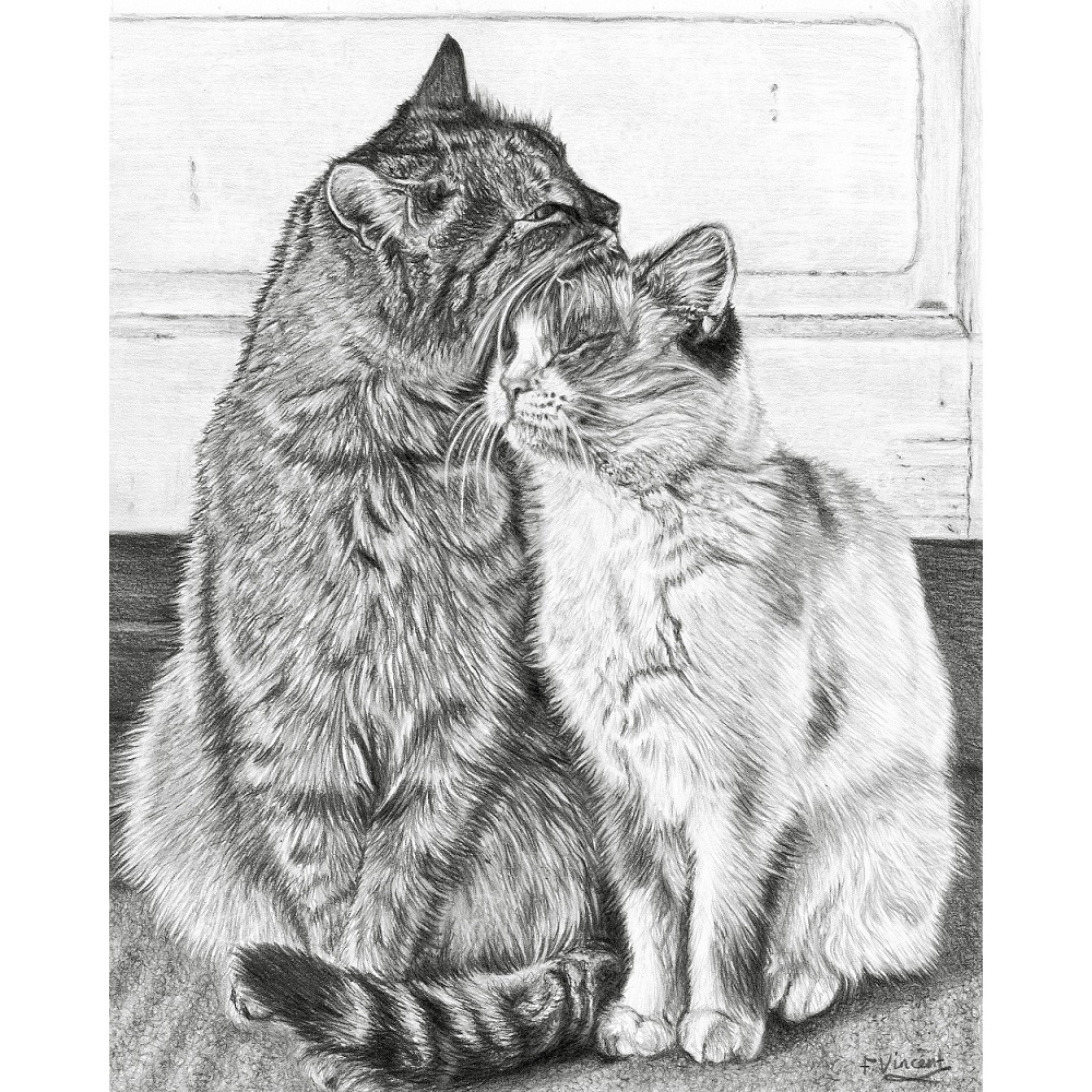 dynamic_duo_792966441