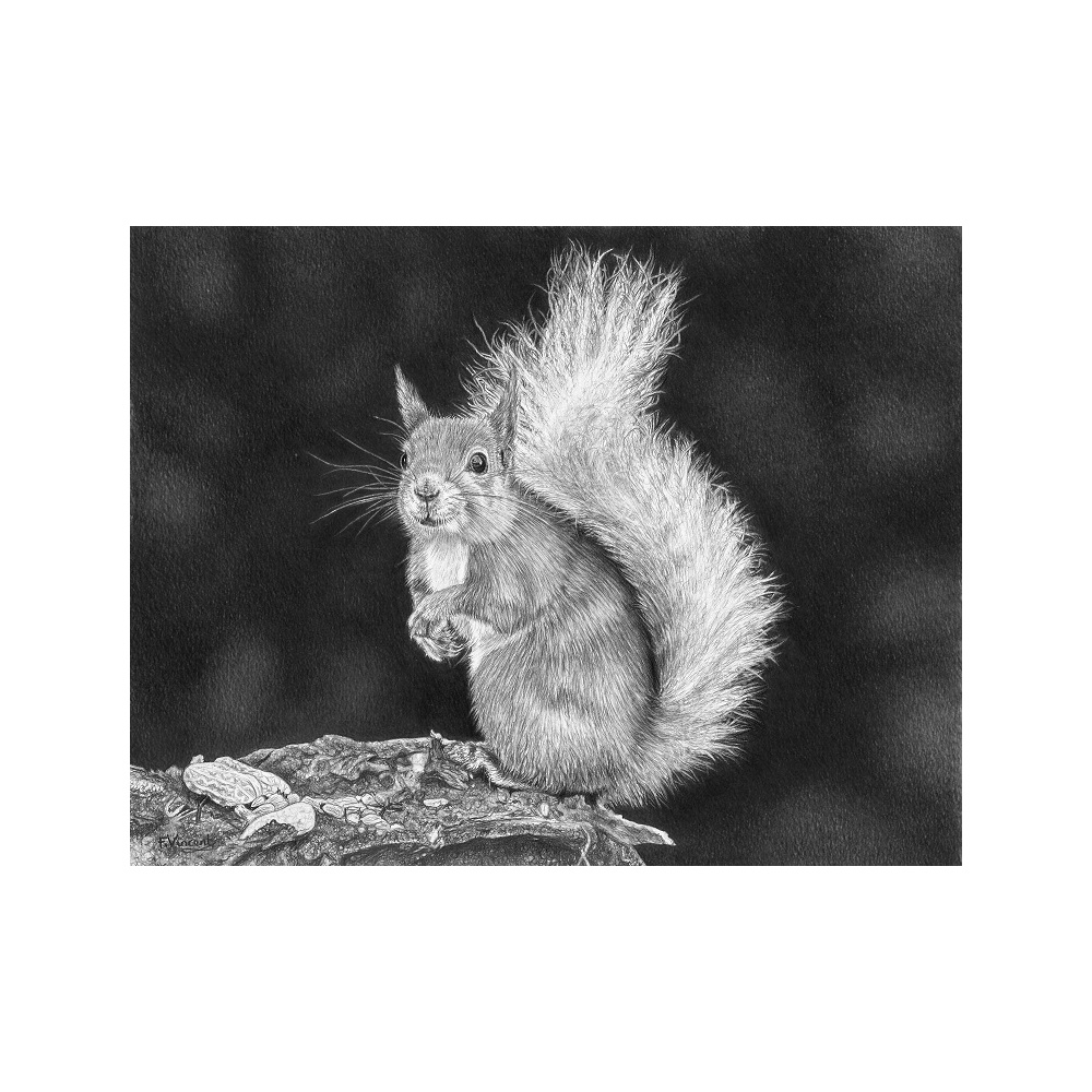 fv32-360_-_nuts_for_that_smile