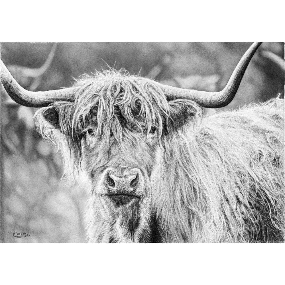 fv32-391_-_hi_highland_1432914709