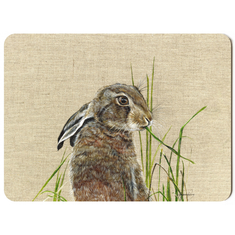 harriet_hare_-_canvas_-_292x216_-_spart_310_copy