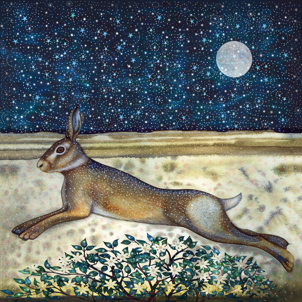 kg29-015-hare_on_the_winter_marsh