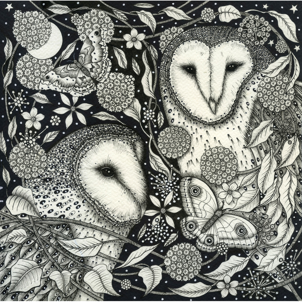 kg29-020_-two_wise_owlse