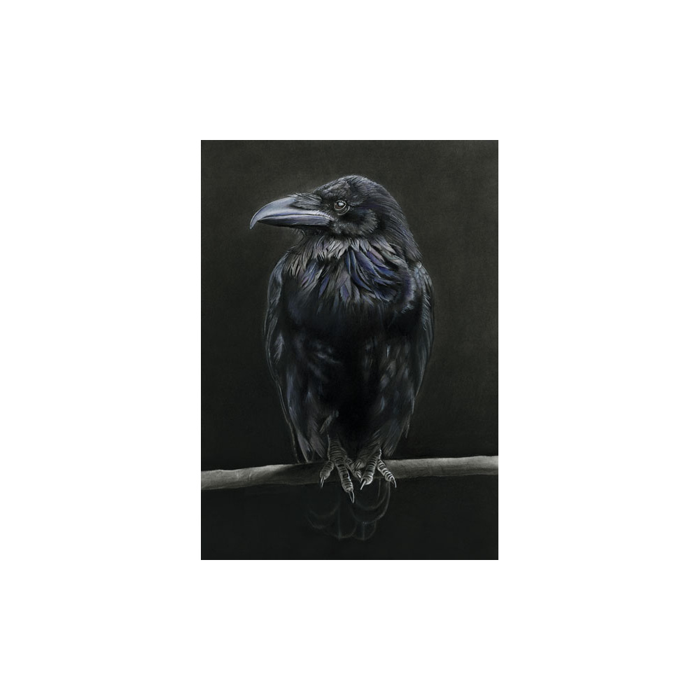 lg28-001_-_raven_colour