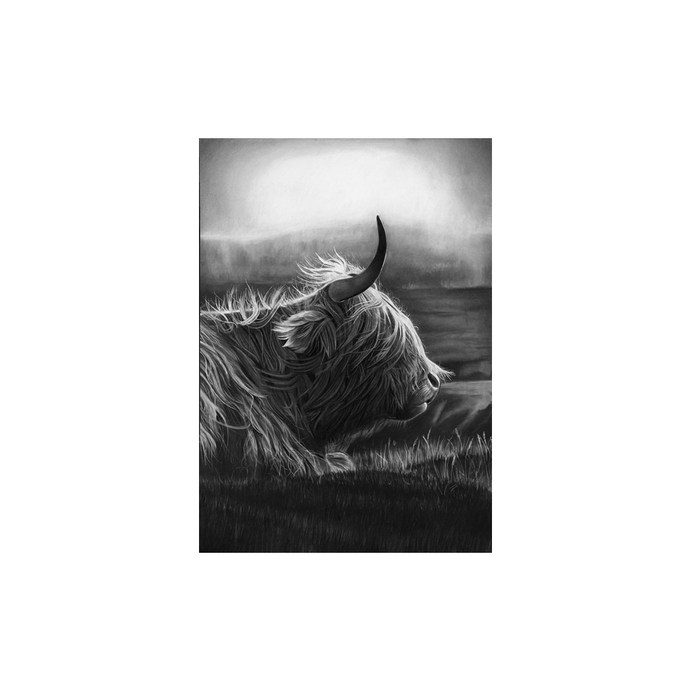 lg28-021_-_highland_cow-side