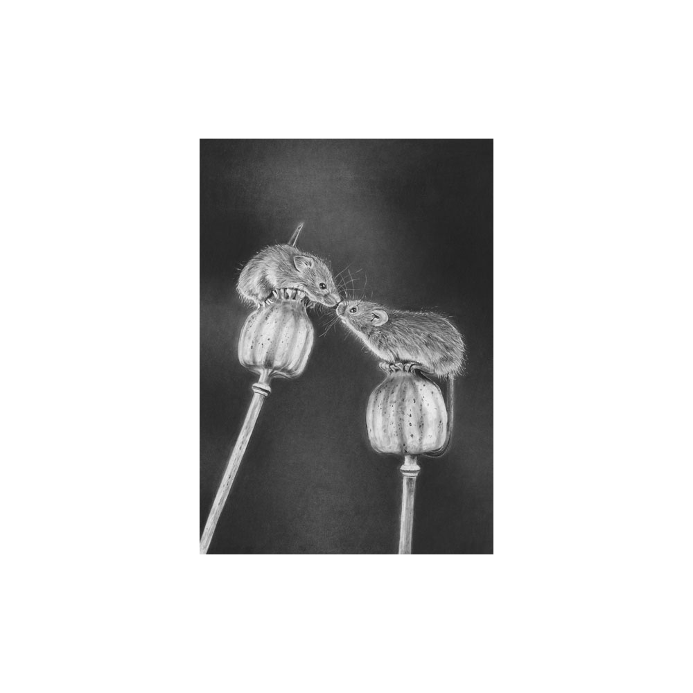 lg28-027_-_harvest_mice_on_poppyheads