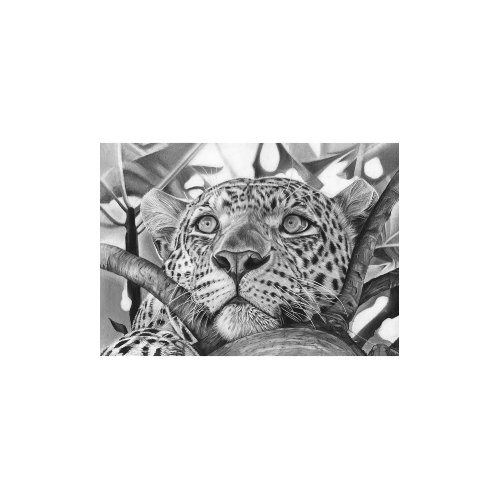 lg28-044-leopard