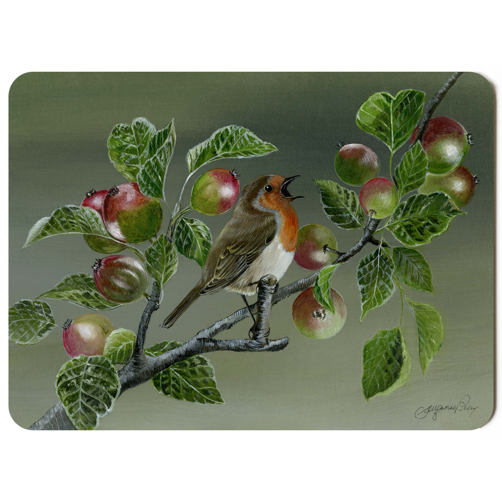 robin_test_292x216_spart_386_copy_2134713791