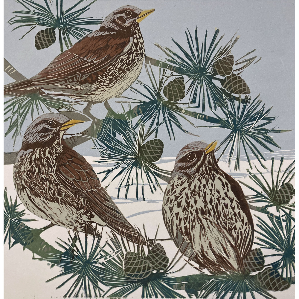 smw93-046-fieldfares_in_snow1_854031313