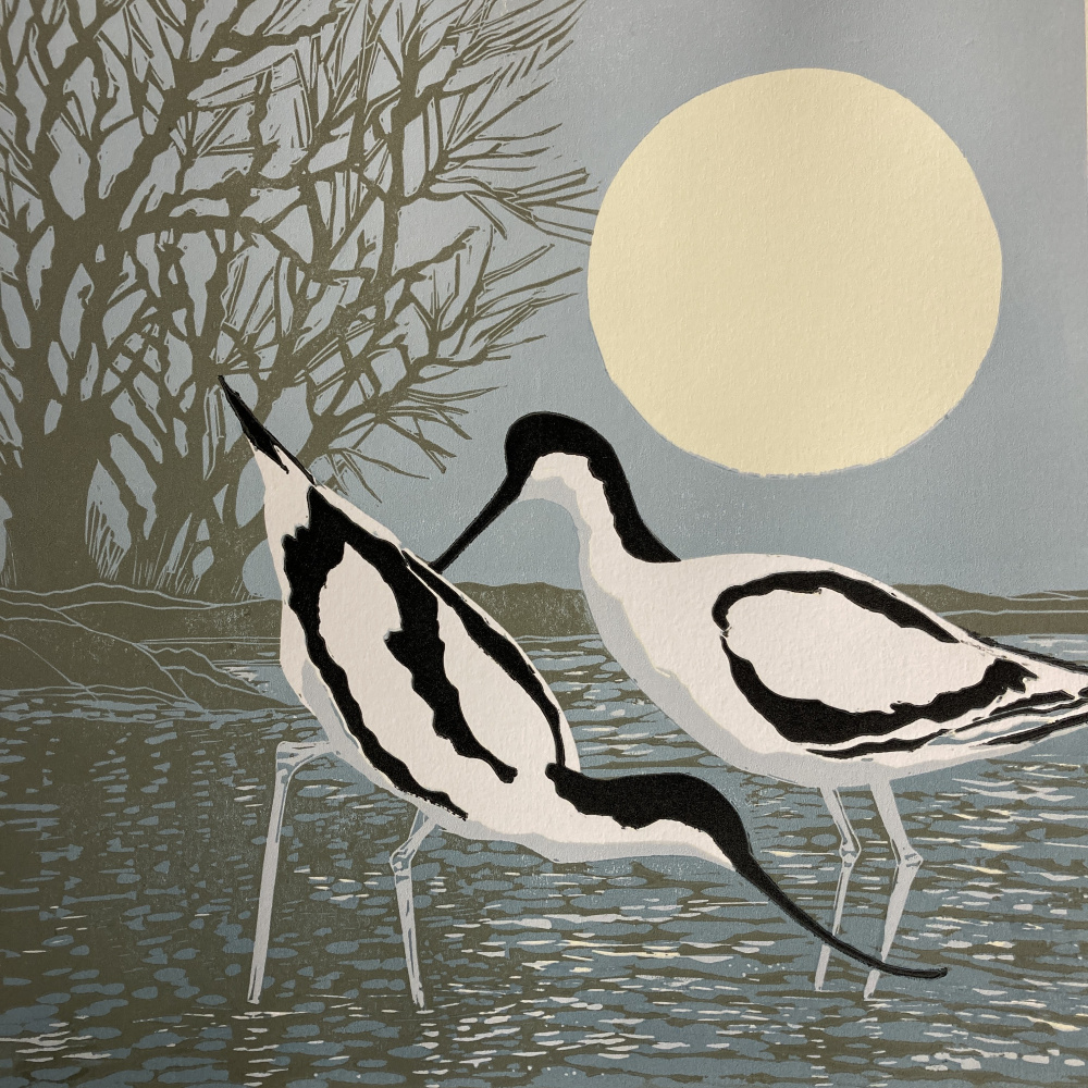 smw93_-_062_-_avocets_s_morning_50x50