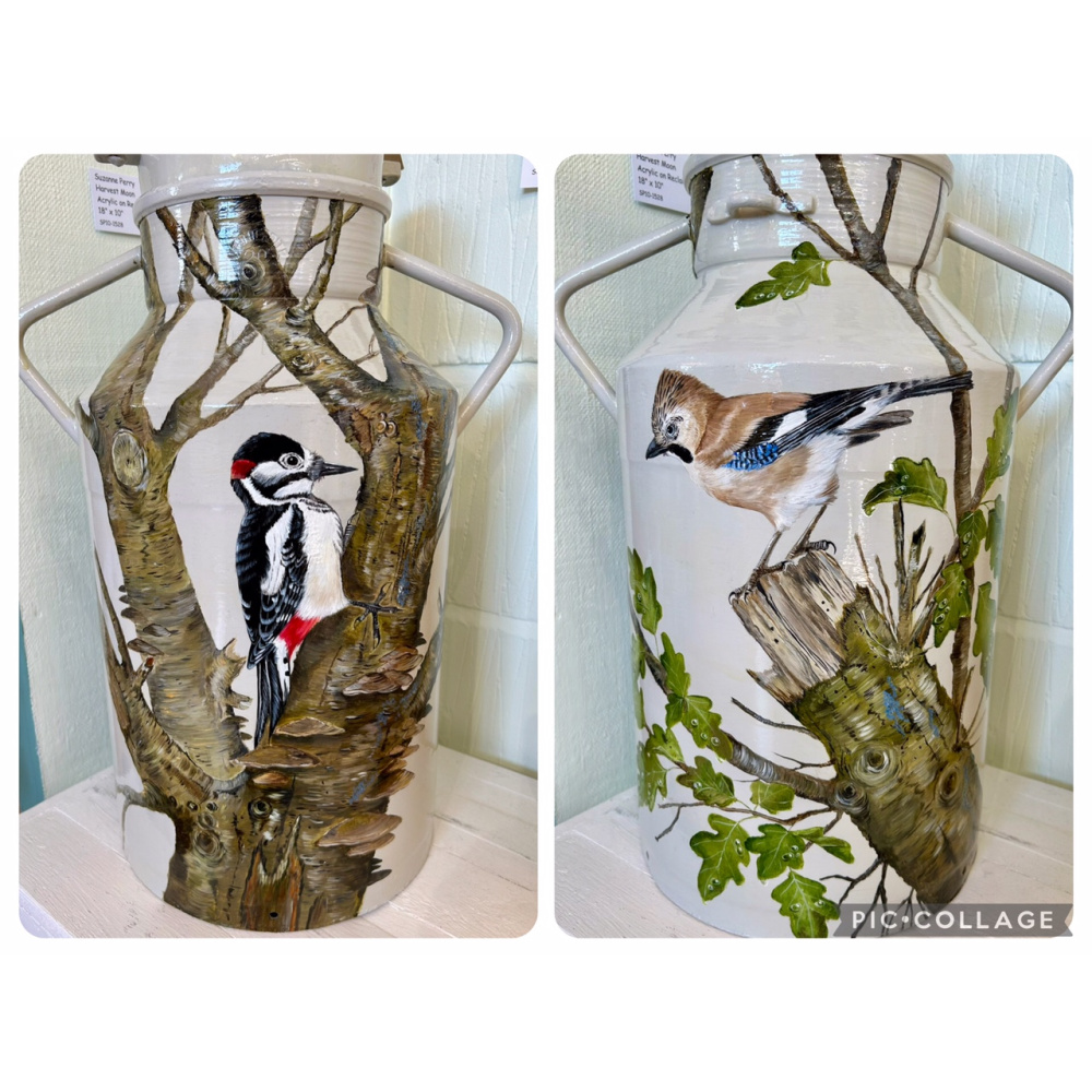 sp10-1567_woodpecke_jay_churn