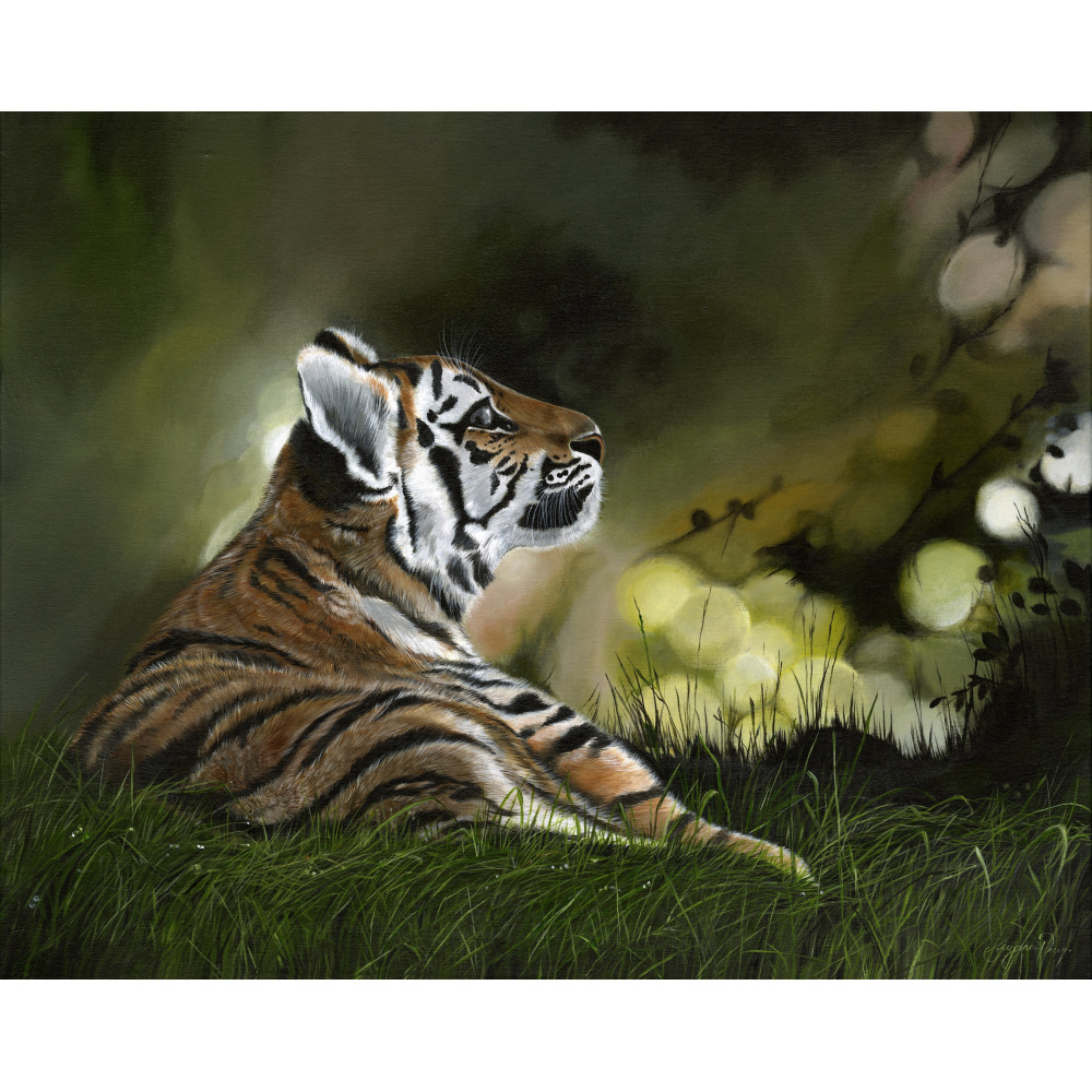 tiger-age-of-innocence-spart-452_copy_1229485163