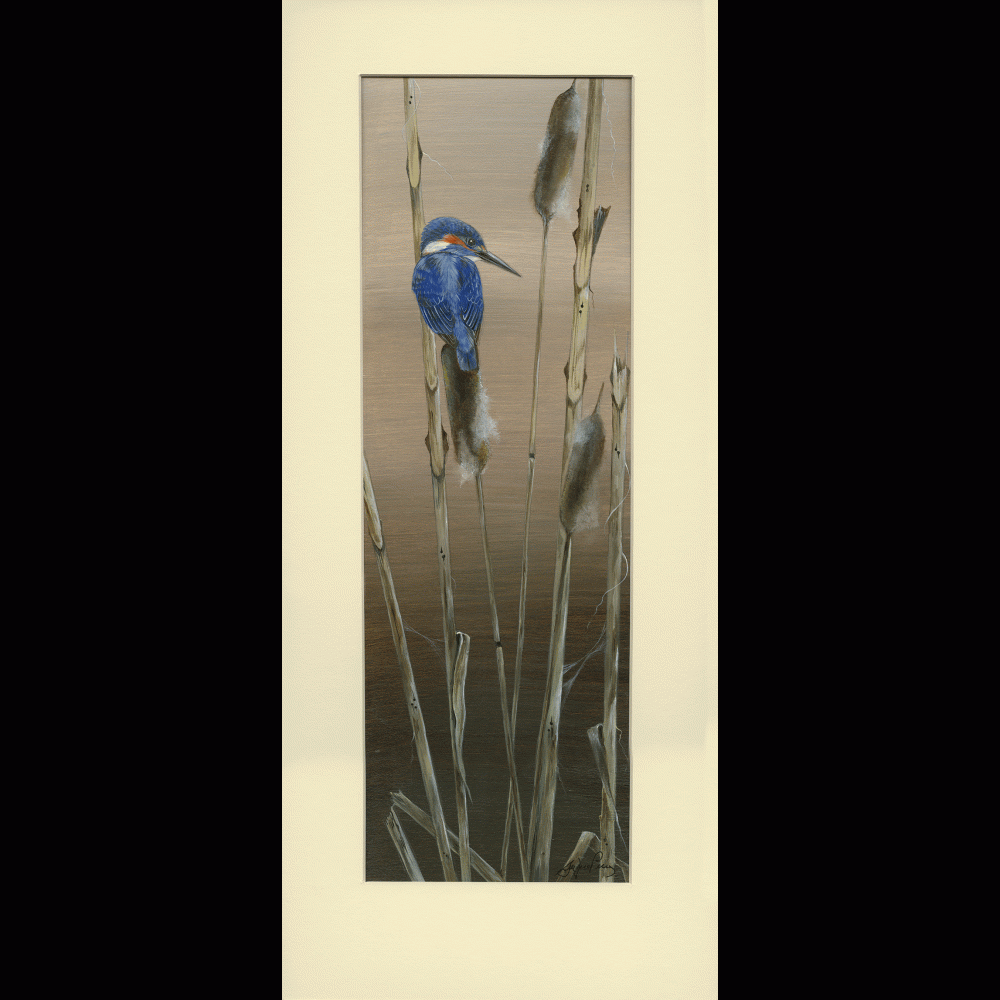 water-and-coastal-birds-paintings-kingfisher-twilight-suzanne-perry-art-119