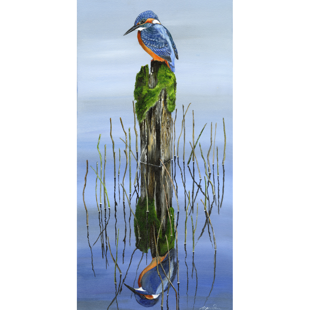 water-and-coastal-mirror-image-spart-424_copy