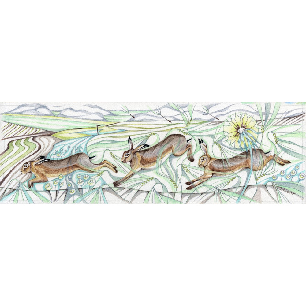 wt09-236_-_462_barley_hares