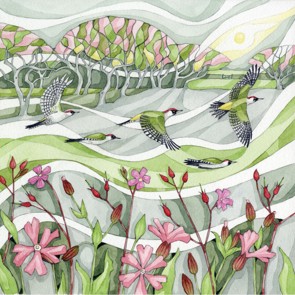 wt09-392-gliding_woodpecker