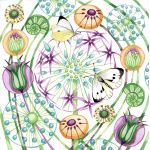 440_butterflies_and_blooms_no_border