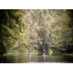 bh90-094_-_paddle_boarders_on_the_stour_by_bill_hiskett