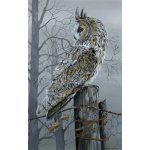 birds-of-prey-long-eared-owl-three-360a