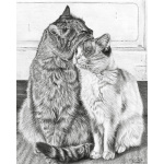 dynamic_duo_792966441