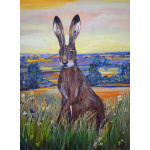 gh50-375-sunset_hare