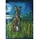 gh50-431-supermoon_hare