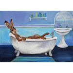 gh50_-_306_-_hare_in_the_bath