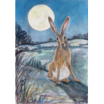 gh50_-_312_-_sad_moon_hare