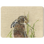 harriet_hare_-_canvas_-_292x216_-_spart_310_copy