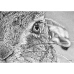 i_see_you_1354437121