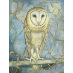kg29-018_-_barn_owl_among_the_willowe