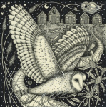 kg29-022_-_the_harbour_owl