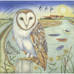 kg29-026_-_barn_owl_at_burnham_overy_staithee