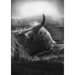 lg28-021_-_highland_cow-side