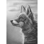 lg28-043_-_alert_fox