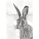mr_whisker_1135072406