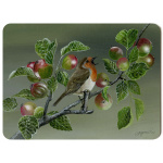 robin_test_292x216_spart_386_copy_2134713791
