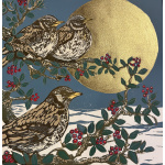 smw93-102_-_low_winter_sun_copy