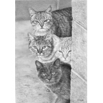 strength_in_numbers_809469916