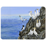v2_water-and-coastal-company-of-gannets-sp-art-421_placemat_sized_copy_orchard