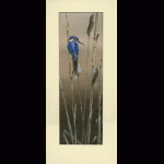 water-and-coastal-birds-paintings-kingfisher-twilight-suzanne-perry-art-119