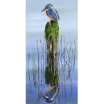 water-and-coastal-mirror-image-spart-424_copy