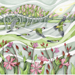 wt09-392-gliding_woodpecker